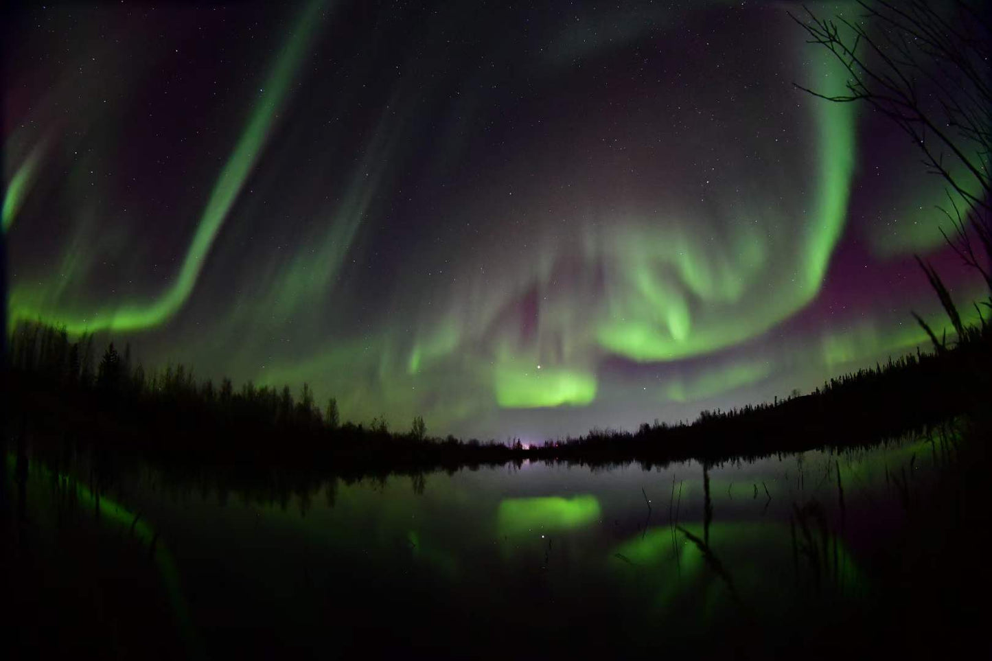 秋季極光觀賞4日3夜(4⭐️酒店) Autumn Aurora Tour Package (4 days 3 nights+Hotel 4⭐️ )